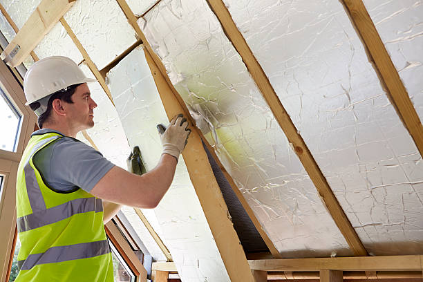 Best Spray Foam Insulation  in Meadow Vale, KY